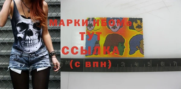 прущие грибы Абаза