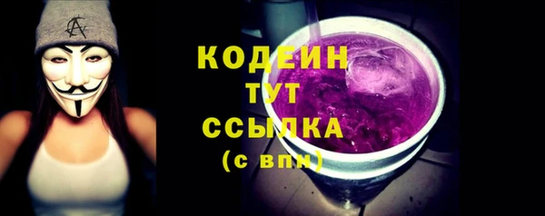 прущие грибы Абаза