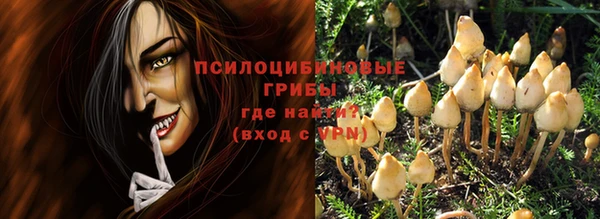 прущие грибы Абаза